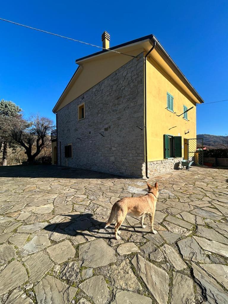 Penzion Il Gelso Trivigno Exteriér fotografie