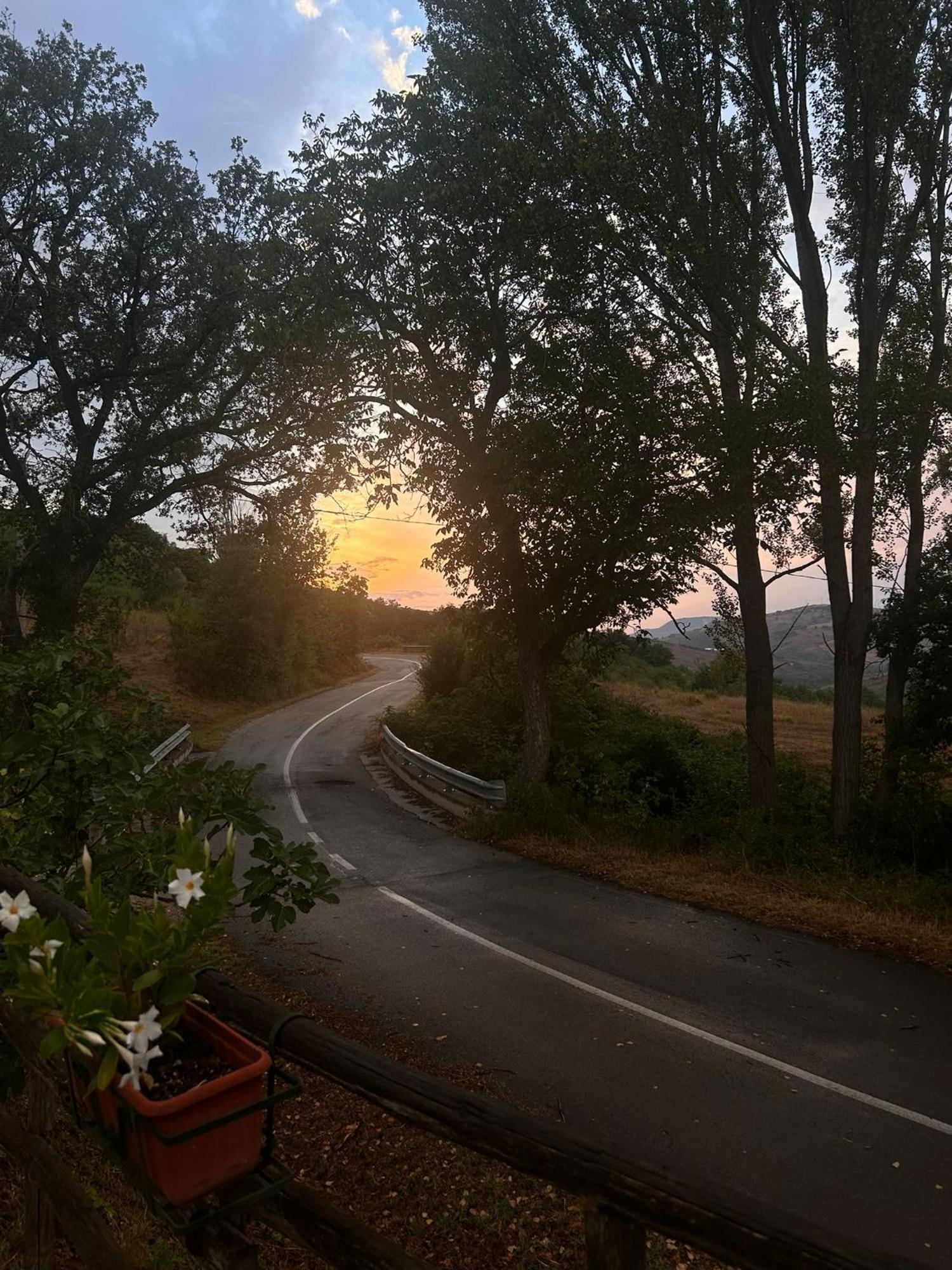 Penzion Il Gelso Trivigno Exteriér fotografie