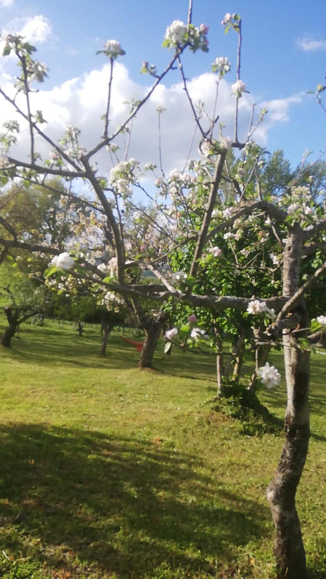 Penzion Il Gelso Trivigno Exteriér fotografie
