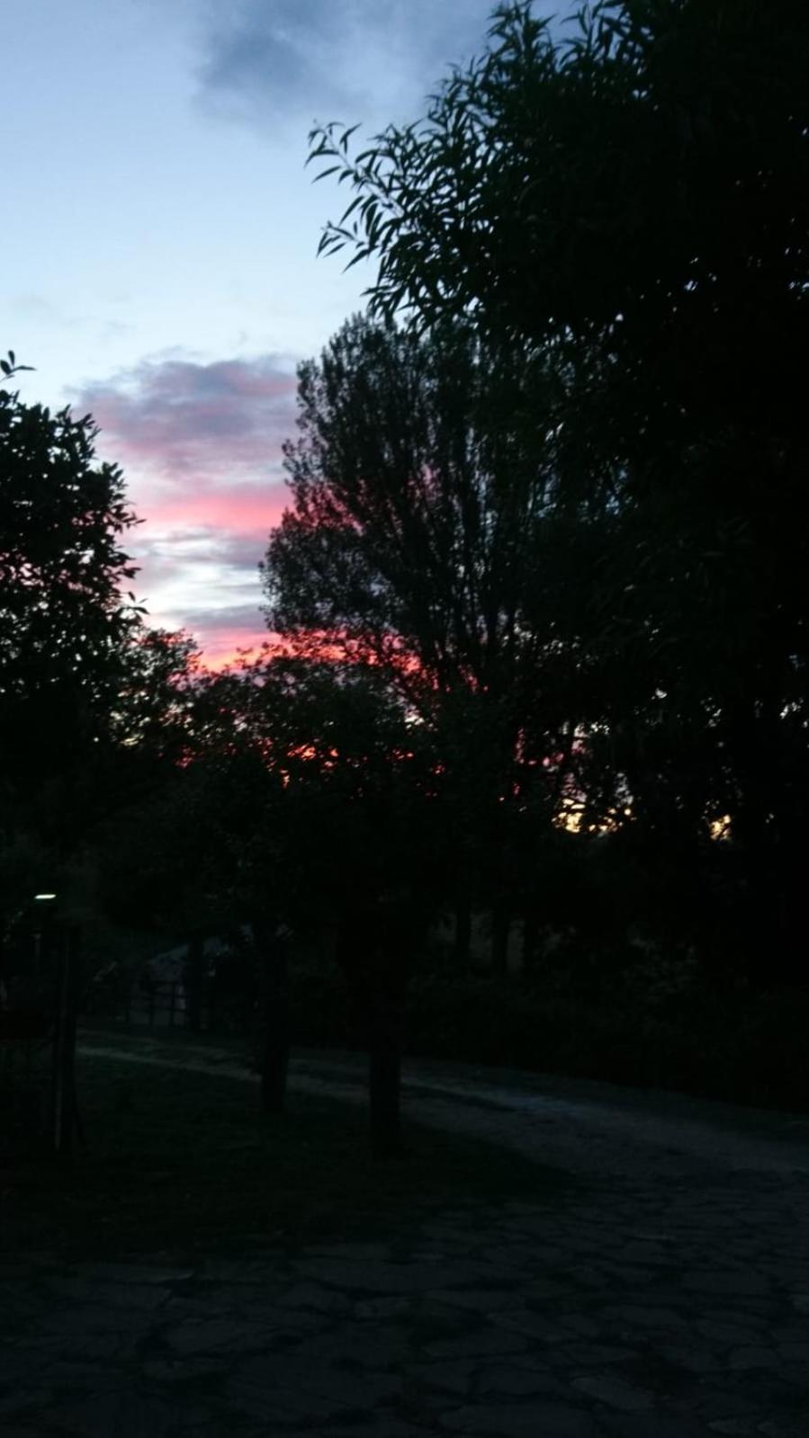 Penzion Il Gelso Trivigno Exteriér fotografie